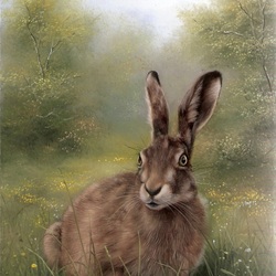 Jigsaw puzzle: Field hare