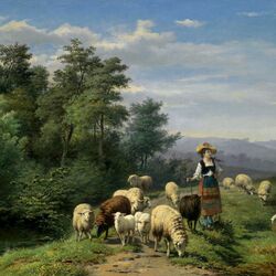 Jigsaw puzzle: Shepherdess and flocks in nature