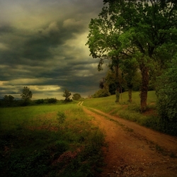 Jigsaw puzzle: Road