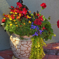 Jigsaw puzzle: Flowers in a pot
