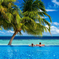 Jigsaw puzzle: Paradise for two