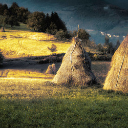 Jigsaw puzzle: Haystacks