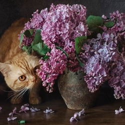 Jigsaw puzzle: Red-headed cat