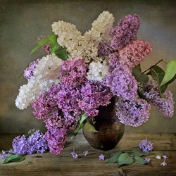 Jigsaw puzzle: Colorful lilac