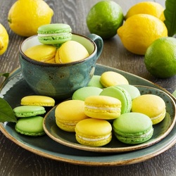 Jigsaw puzzle: Macaroons and citruses