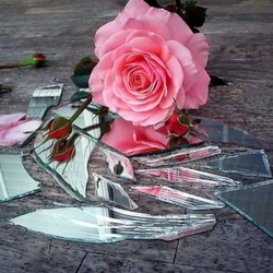 Jigsaw puzzle: Rose and shards of glass