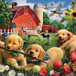 Jigsaw puzzle: Puppy games