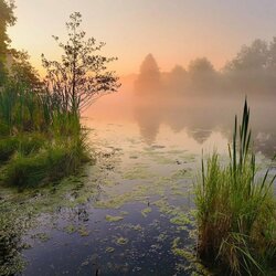 Jigsaw puzzle: Dawn on the lake