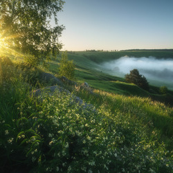 Jigsaw puzzle: Morning in the meadow
