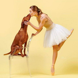 Jigsaw puzzle: Dancers and dogs
