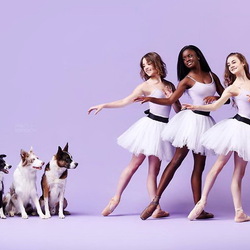 Jigsaw puzzle: Dancers and dogs