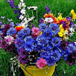 Jigsaw puzzle: Country bouquet