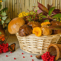 Jigsaw puzzle: Mushrooms and berries