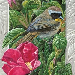 Jigsaw puzzle: Little bird