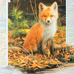 Jigsaw puzzle: A fox