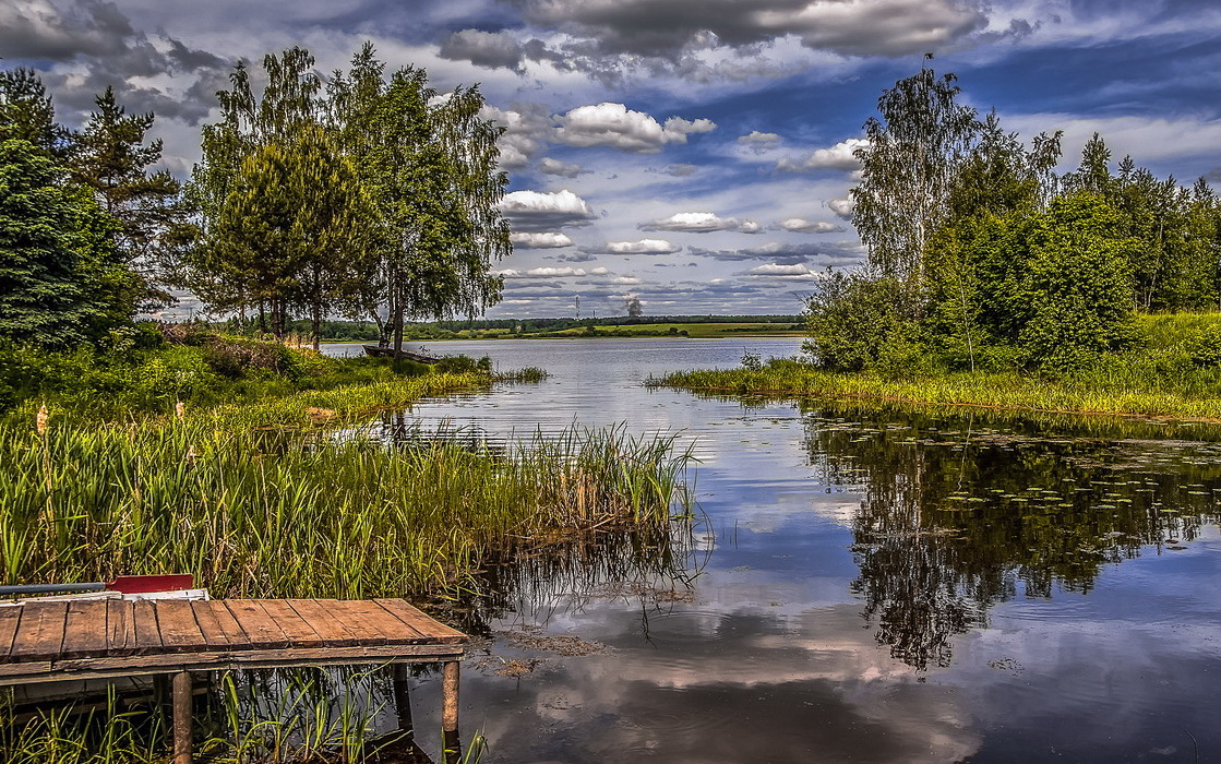 Заводь реки фото