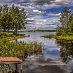 Jigsaw puzzle: Quiet backwater