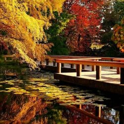 Jigsaw puzzle: In the autumn park
