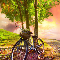 Jigsaw puzzle: Bicycle