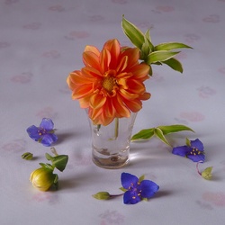Jigsaw puzzle: Miniature with a dahlia and her friends