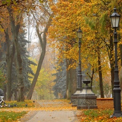 Jigsaw puzzle: In the autumn park