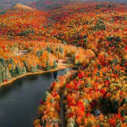 Jigsaw puzzle: Autumn colors