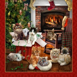 Jigsaw puzzle: Christmas for everyone