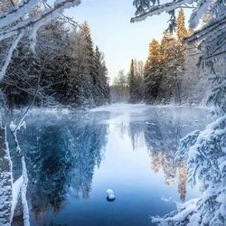 Jigsaw puzzle: Winter morning