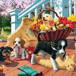 Jigsaw puzzle: Puppies