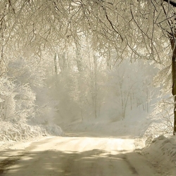 Jigsaw puzzle: Winter road