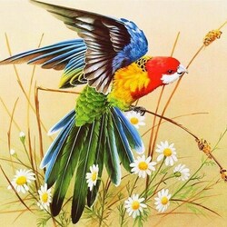 Jigsaw puzzle: Parrot and daisies