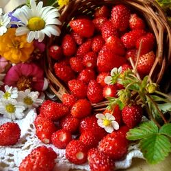 Jigsaw puzzle: Still life with strawberries