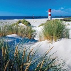 Jigsaw puzzle: In the dunes
