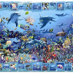 Jigsaw puzzle: Dolphin kingdom