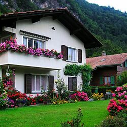 Jigsaw puzzle: House in the Alps