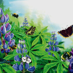 Jigsaw puzzle: Blue lupins