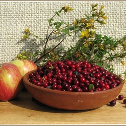Jigsaw puzzle: Cranberries with apples and St. John's wort