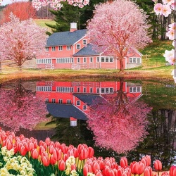 Jigsaw puzzle: Pink spring