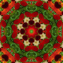 Jigsaw puzzle: Dahlia kaleidoscope