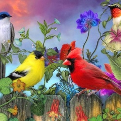 Jigsaw puzzle: Birds