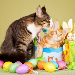 Jigsaw puzzle: Easter cats