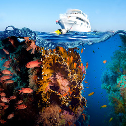 Jigsaw puzzle: Underwater world and ship