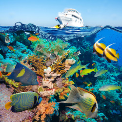Jigsaw puzzle: Underwater world and boat
