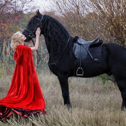 Jigsaw puzzle: Horse and girl