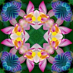 Jigsaw puzzle: Lily kaleidoscope