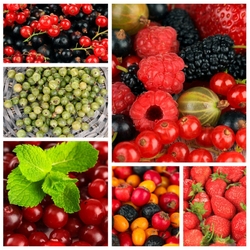 Jigsaw puzzle: Berry collage
