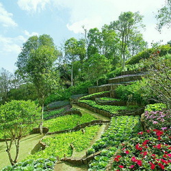 Jigsaw puzzle: Ma Fa Luang Garden