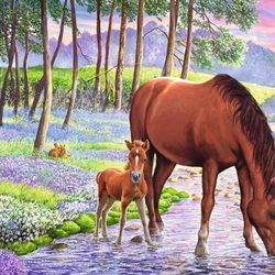 Jigsaw puzzle: Horse with foal