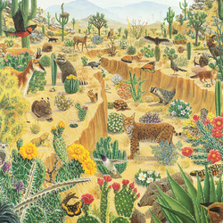 Jigsaw puzzle: Desert life