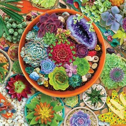 Jigsaw puzzle: Succulent garden
